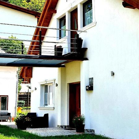 Twins Apartments Sovata Luaran gambar